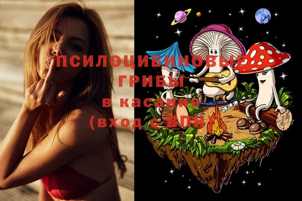 круглые Вяземский