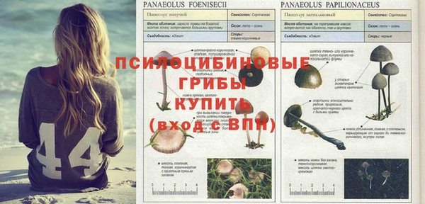 круглые Вяземский