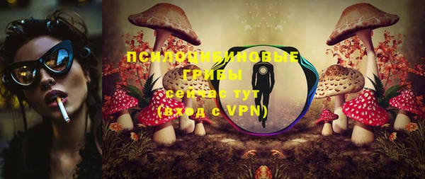 эйфоретик Вязьма